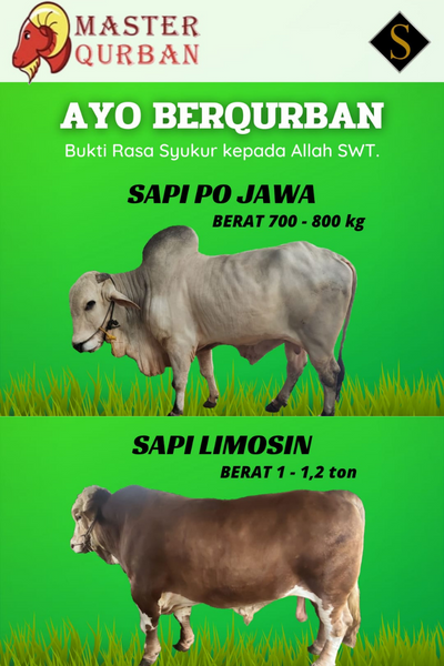 MASTER QURBAN